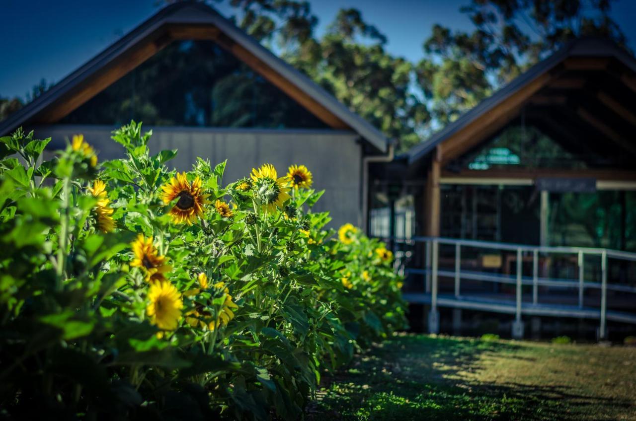 Barn Hives Yallingup Exterior photo